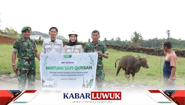 Jelang Idul Adha 1447 H, IMIP Salurkan Puluhan Hewan Kurban
