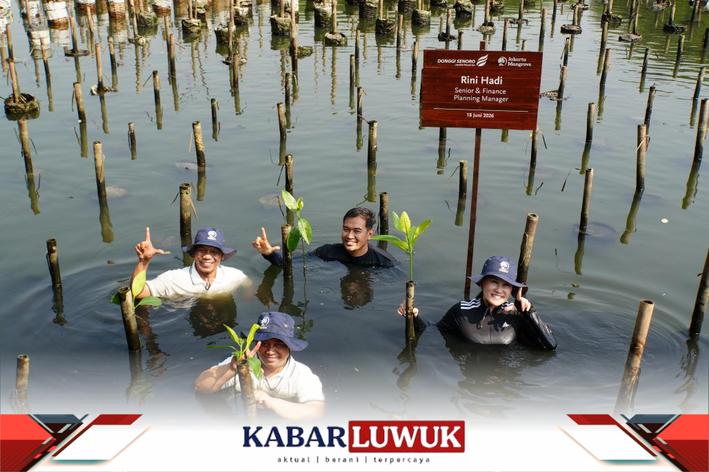Mangrove untuk Perkuat Ketahanan Pesisir Jakarta, DSLNG Wujudkan Aksi Lingkungan di Luar Area Operasi