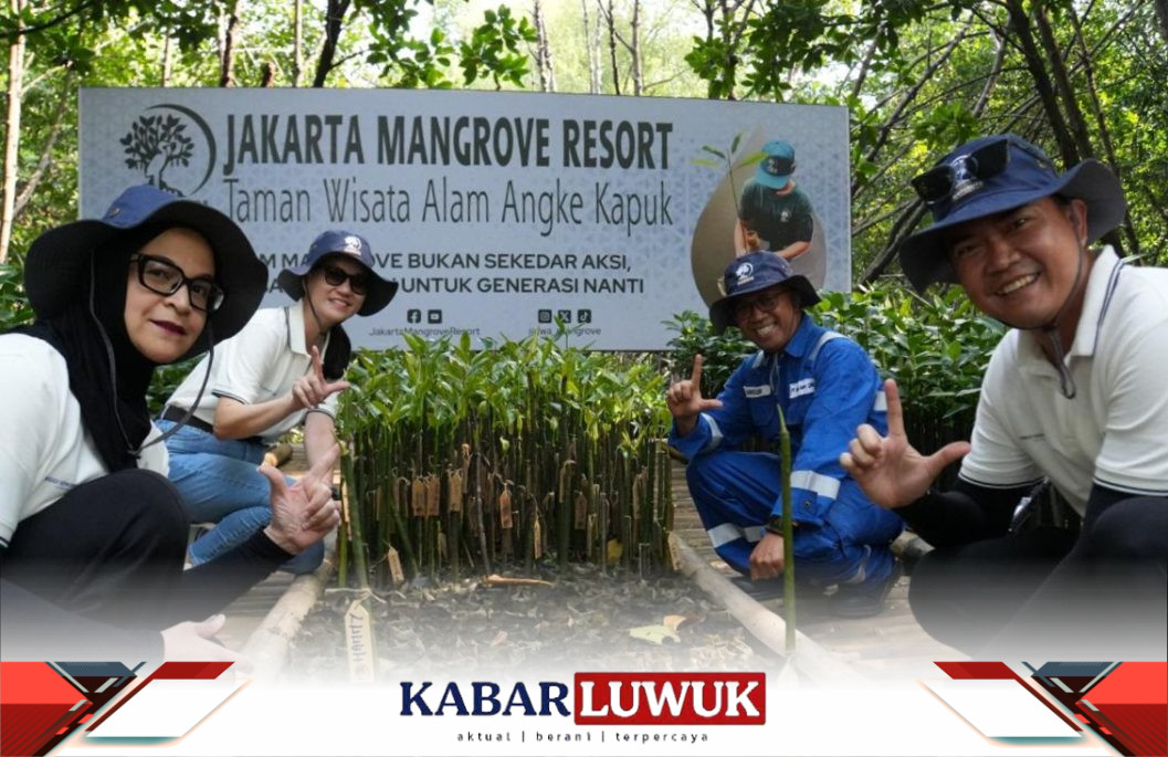 Mangrove untuk Perkuat Ketahanan Pesisir Jakarta, DSLNG Wujudkan Aksi Lingkungan di Luar Area Operasi