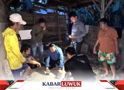 Sembunyikan Sabu di Gudang Padi, Polisi Tangkap Warga Sinorang