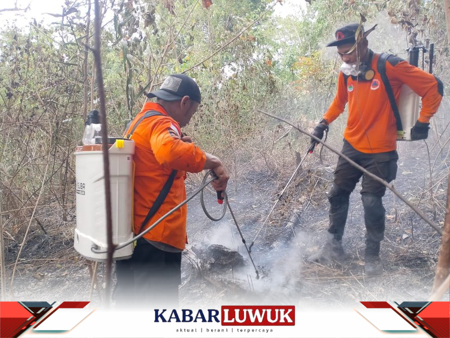 Tim Gabungan Gerak Cepat Padamkan Lahan Puluhan Hektar di Batu Hitam Banggai