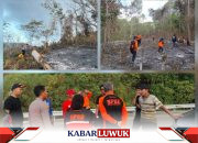 Tim Gabungan Gerak Cepat Padamkan Lahan Puluhan Hektar di Batu Hitam Banggai