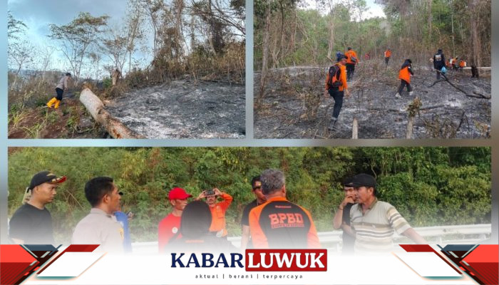 Tim Gabungan Gerak Cepat Padamkan Lahan Puluhan Hektar di Batu Hitam Banggai