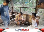 Kandang Ayam Disulap Jadi Sarang Narkoba, Pria di Batui Banggai Ditangkap Polisi
