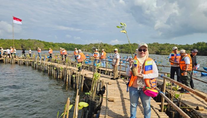 Hari Mangrove Sedunia, IMIP Dukung Penanaman 1 Juta Mangrove di 37 Provinsi