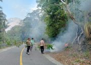 Puluhan Hektar Hutan dan Lahan di Nuhon Terbakar