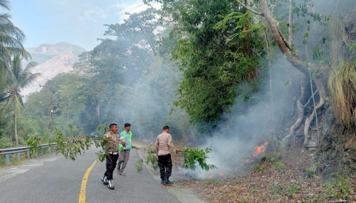 Puluhan Hektar Hutan dan Lahan di Nuhon Terbakar