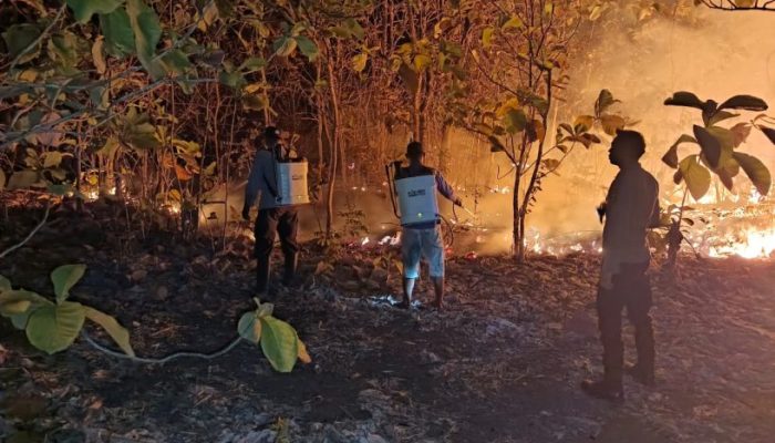 Polisi dan BPBD 12 Jam Melawan Api Karhutla di Bualemo Banggai