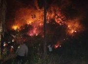 Tiga Titik Karhutla Terjadi di Pegunungan Toipan, Pagimana Banggai