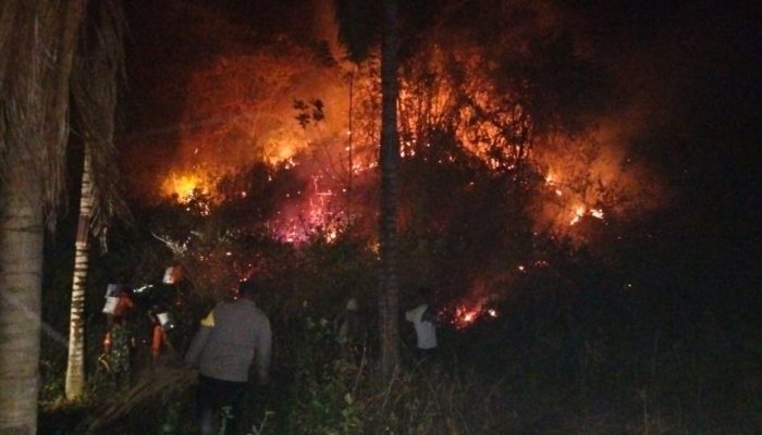 Tiga Titik Karhutla Terjadi di Pegunungan Toipan, Pagimana Banggai