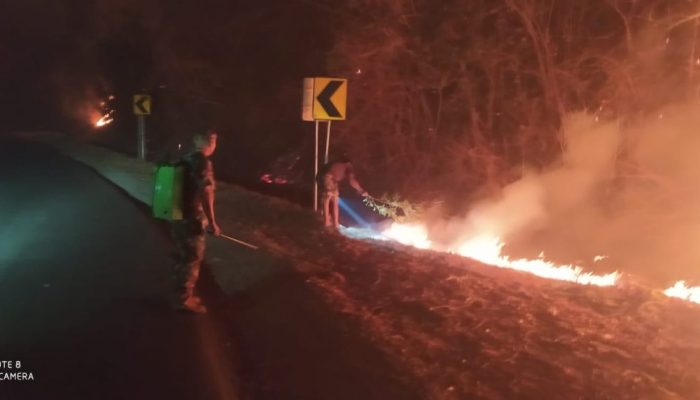 Kebakaran Lahan Satu Hektare di Desa Tombang