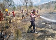 Karhutla Terjadi di Sejumlah Wilayah Sulteng, Satbrimob Perkuat Upaya Pemadaman Titik Api