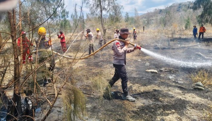 Karhutla Terjadi di Sejumlah Wilayah Sulteng, Satbrimob Perkuat Upaya Pemadaman Titik Api