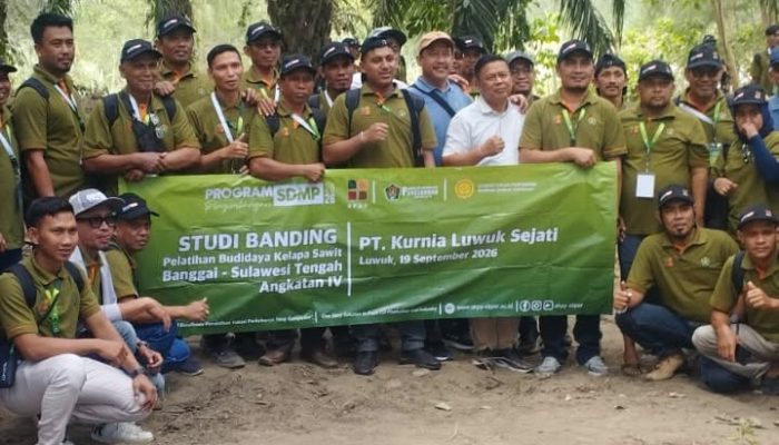 Dorong Peningkatan Ekonomi, PT KLS Latih Ratusan Petani Plasma Budidaya Kelapa Sawit