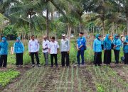 Ketua TP PKK Banggai Kunjungi Poktan Binaan PT. PAU