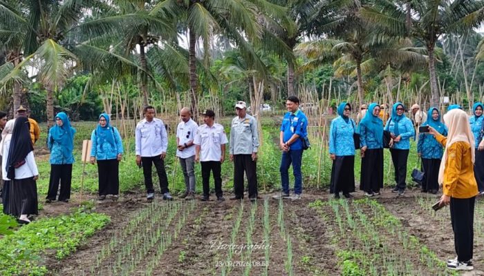 Ketua TP PKK Banggai Kunjungi Poktan Binaan PT. PAU