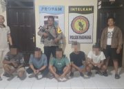 Lima Pelaku Pengeroyokan di Pagimana Banggai Diringkus Polisi