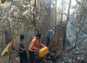 Karhutla di Pohi Bakar 3 Hektare Lahan dan Hutan