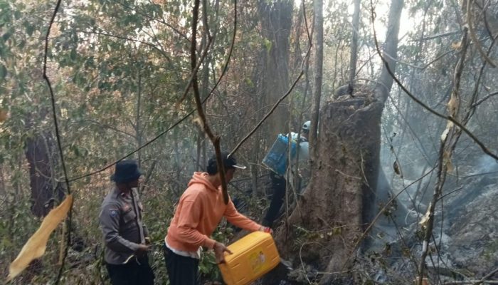Karhutla di Pohi Bakar 3 Hektare Lahan dan Hutan