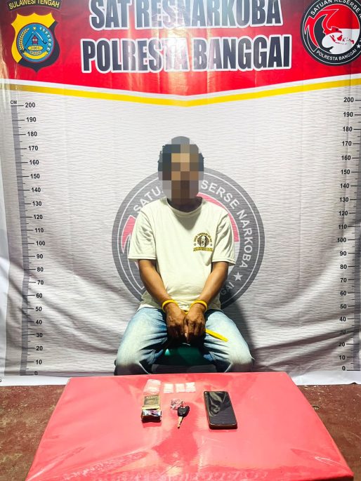 Kedapatan Membawa Sabu di Luwuk Utara, Pria Asal Balantak Ditangkap Polisi