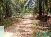 PT KLS Kembali Difitnah, Luruskan Tudingan Penutupan Akses Jalan di Taronggo Morut