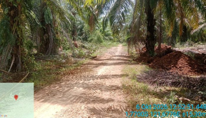 PT KLS Kembali Difitnah, Luruskan Tudingan Penutupan Akses Jalan di Taronggo Morut