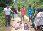 Warga Desa Padang Kintom Ditemukan Meninggal di Jalan Perkebunan