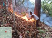 Lahan 1 Hektare Terbakar di Toima, Polisi Imbau Warga Waspada