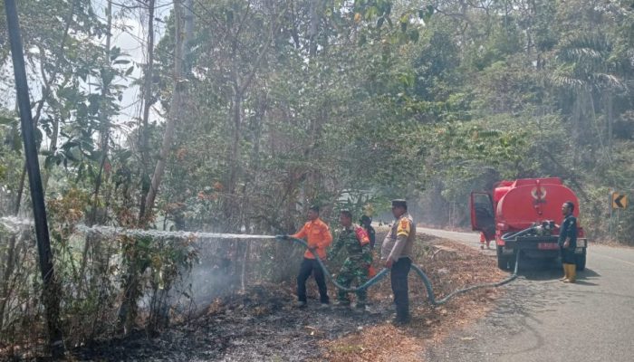 Karhutla di Lipatan Ampat Pagimana Meluas hingga 10 Hektare