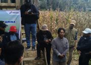 PPM PEP DMF Bantu Masyarakat Desa Kayoa Kembangkan Peternakan Ayam Petelur