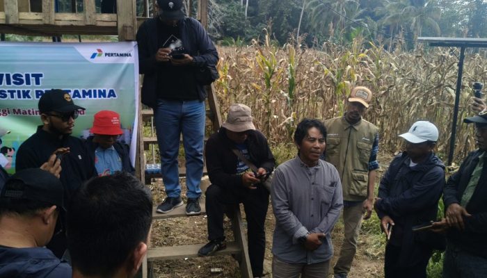 PPM PEP DMF Bantu Masyarakat Desa Kayoa Kembangkan Peternakan Ayam Petelur